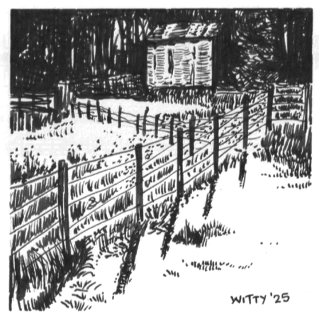 Woodnook Meadow - Original