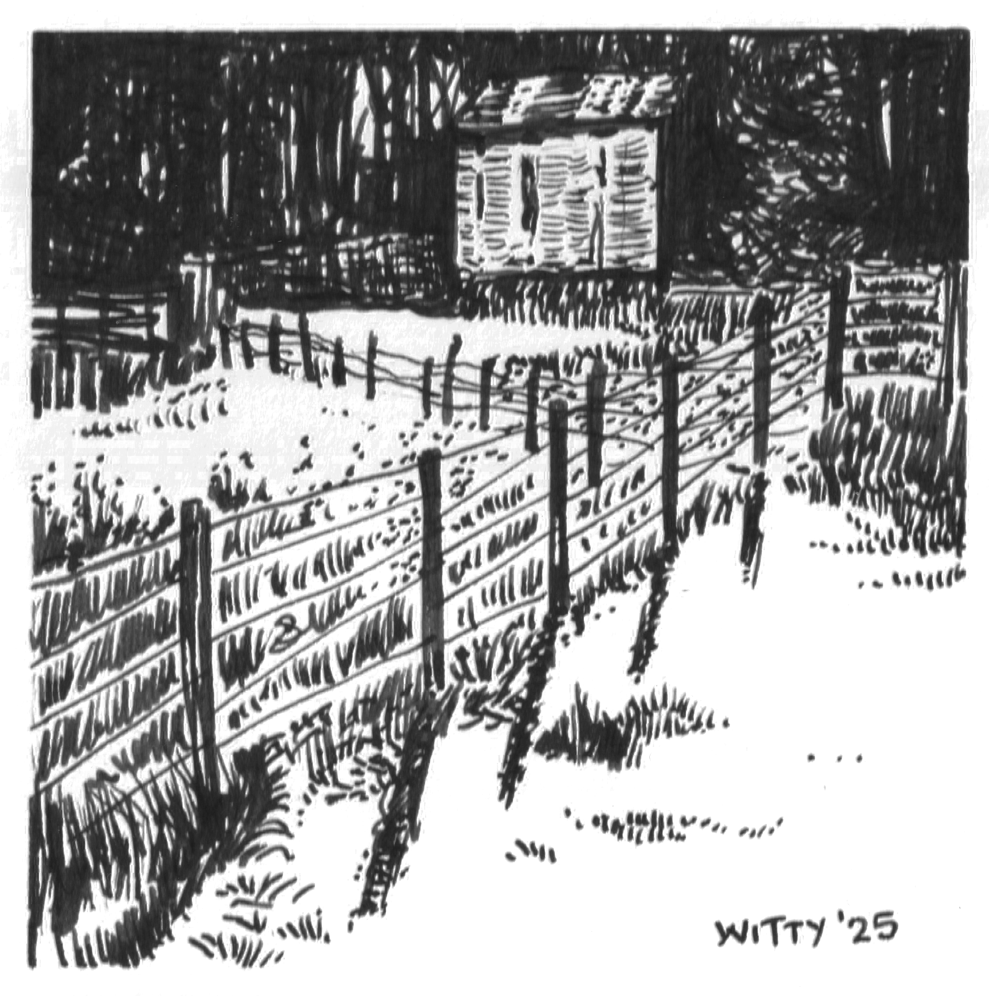 Woodnook Meadow - Original
