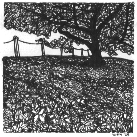 Grassington #1- Original